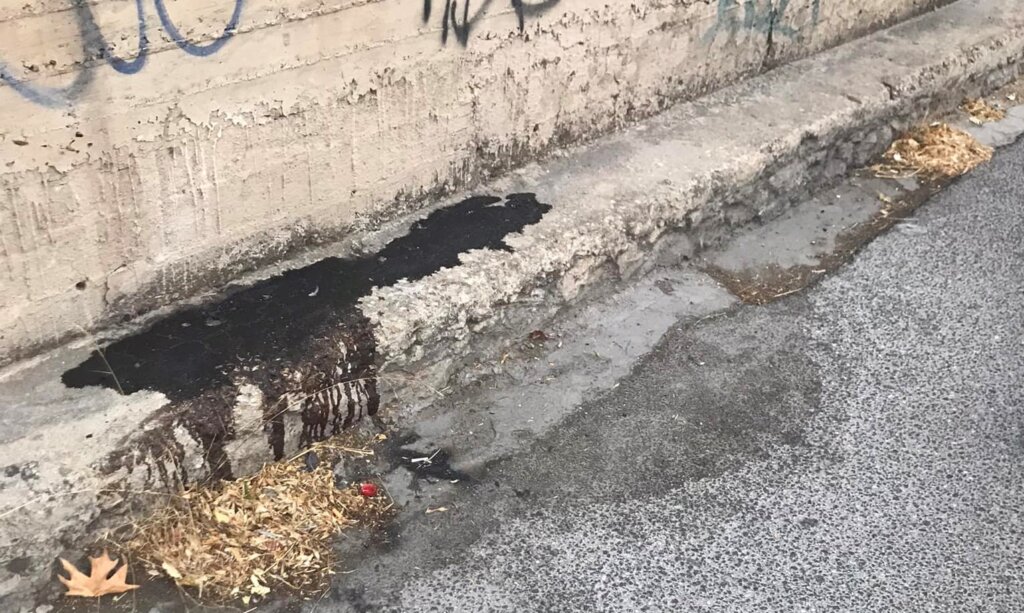 Δολοφονία Σιράζ Σαφτάρ: «Βρομάει» νεοναζιστικό έγκλημα