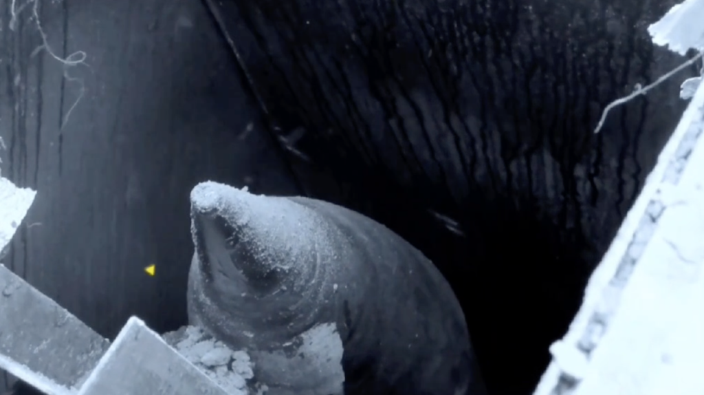 «Μποναμάς» με πυραύλους στους σιωναζιστές