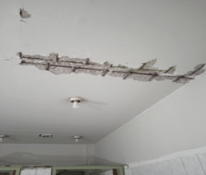 Αυτό είναι ταβάνι στο Ψυχιατρικό Νοσοκομείο!