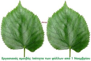 ΑΝΤΙΚΥΝΩΝΙΚΑ